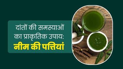 नीम की पत्तियां दूर करती हैं दांतों से जुड़ी ये 5 समस्याएं, इस तरह से करें इस्तेमाल