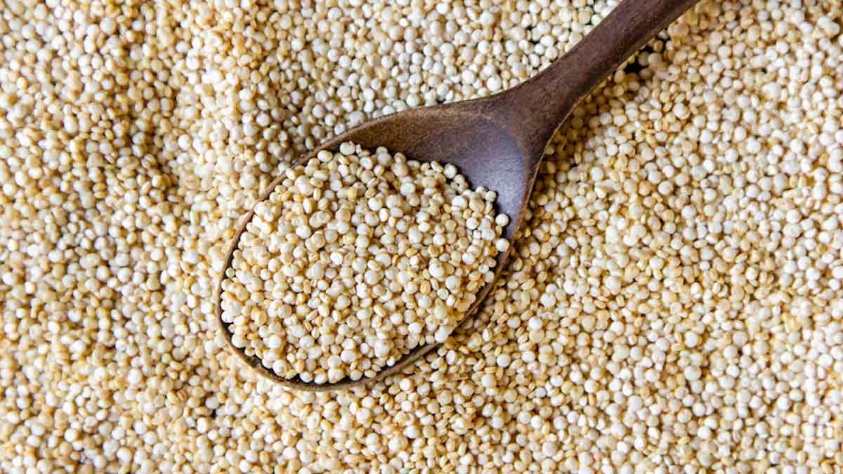 How Can Quinoa Help You Lose Weight?
