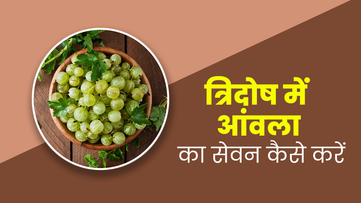 वात, पित्त और कफ (त्रिदोष) को संतुलित करने के लिए इस तरीके से खाएं आंवला, दूर होंगी कई समस्याएं
