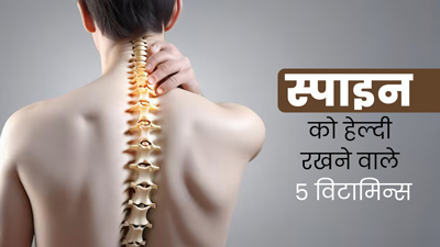 रीढ़ की हड्डी को स्‍वस्‍थ रखने के ल‍िए डाइट में शाम‍िल करें ये 5 व‍िटाम‍िन्‍स, डॉक्‍टर से जानें फायदे 