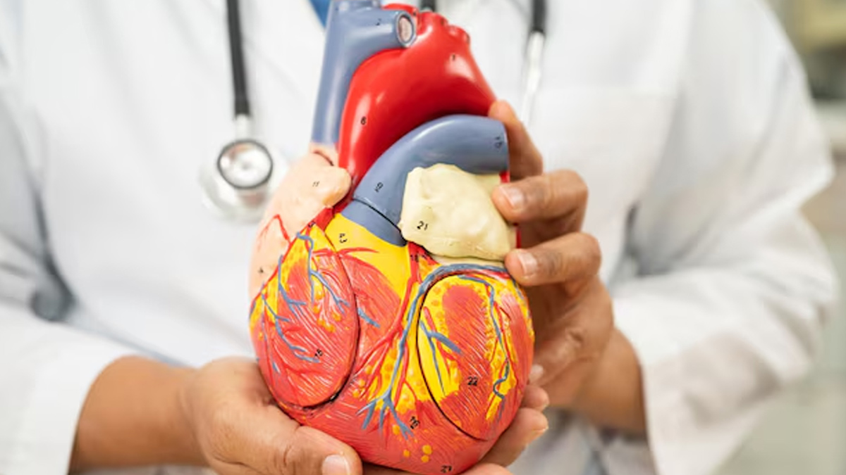 holiday-heart-syndrome