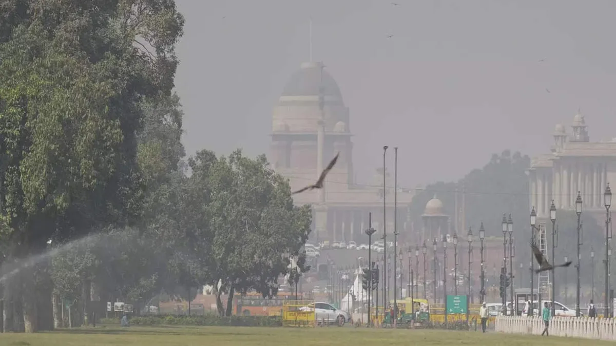 Delhi's Air Quality Worsens Post-Diwali: Top Detox Foods to Combat Toxic Air Effect