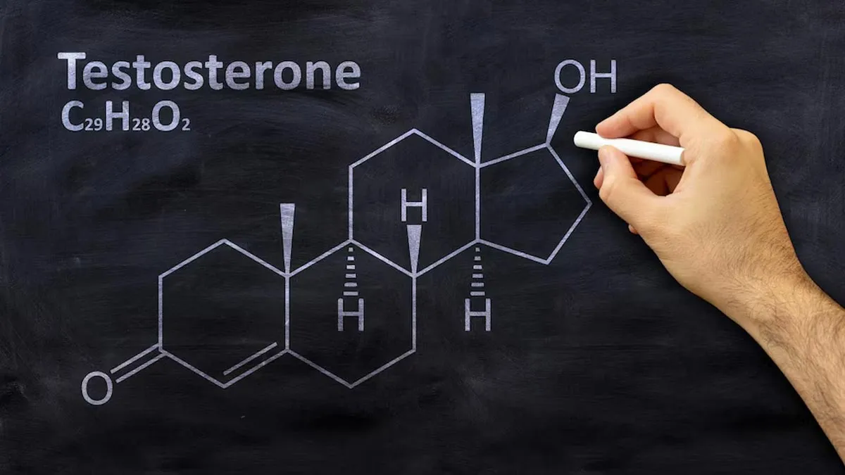 Expert Explains Why Are Testosterone Levels Dropping In Men And Ways To Combat It?