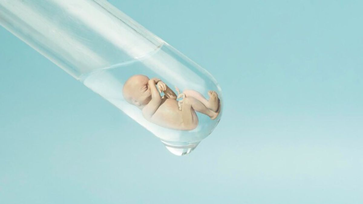 pause button for embryo development