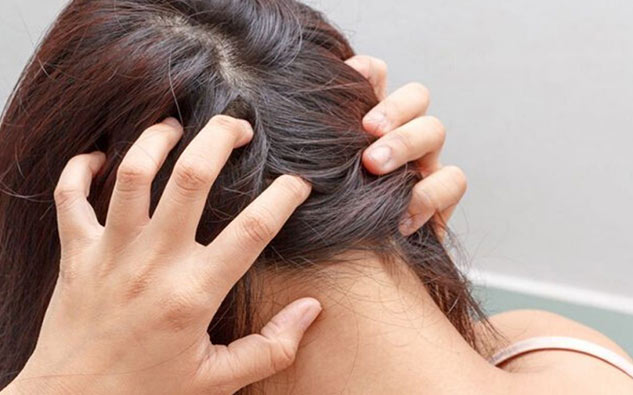 inside1_DandruffVsDryScalp