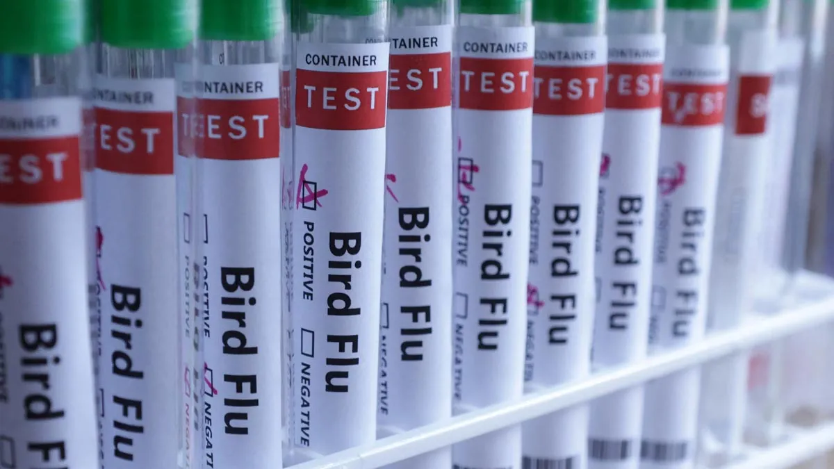 Canada Reports First Human H5 Bird Flu Case In British Columbia; Doctors Label It A ‘Rare Event’