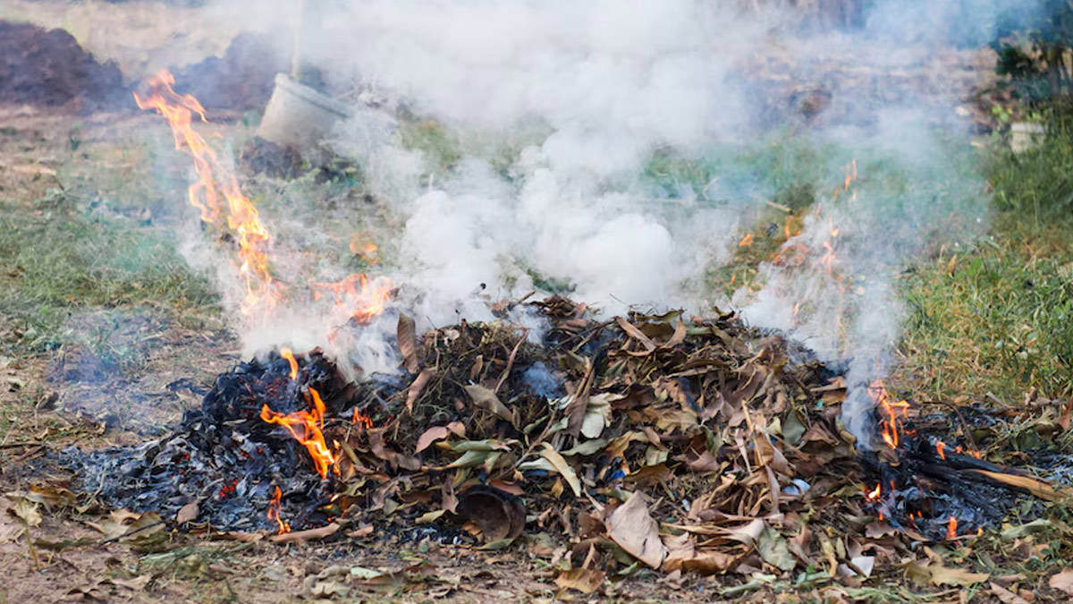 2-pollution-guidelines