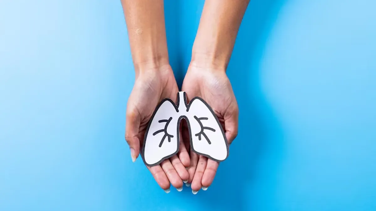 5 Nutrient-Rich Foods That Can Support Lung Health Amidst Air Pollution