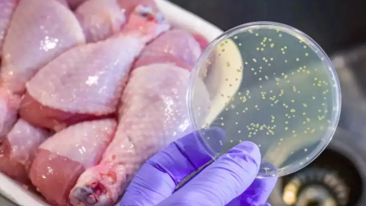 Listeria Outbreak In US Linked To Ready-To-Eat Meat; Symptoms To Look Out For