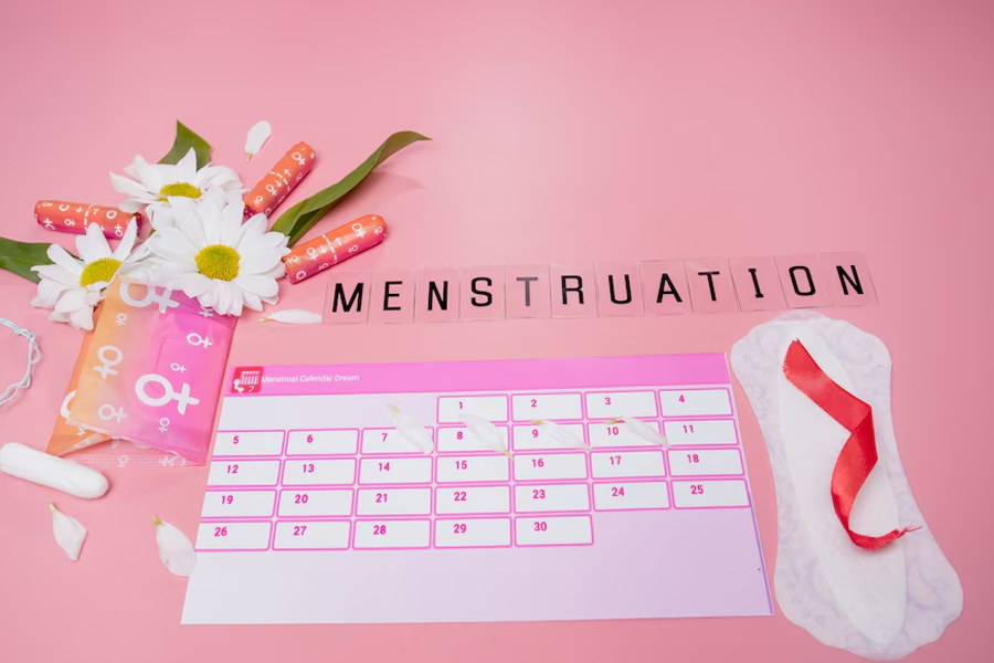 menstruation
