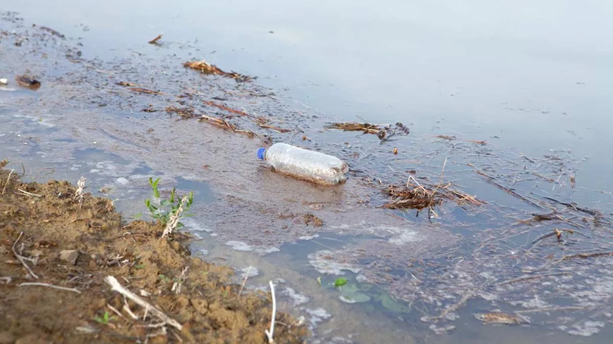 Polluted Water: Expert Explains How Urban Life Might Increase Cancer Risks and How You Can Protect Yourself