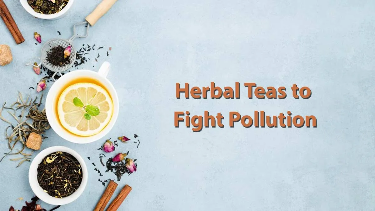 Air Pollution: Consume These Teas to Boost Lung Health and Fight Pollution