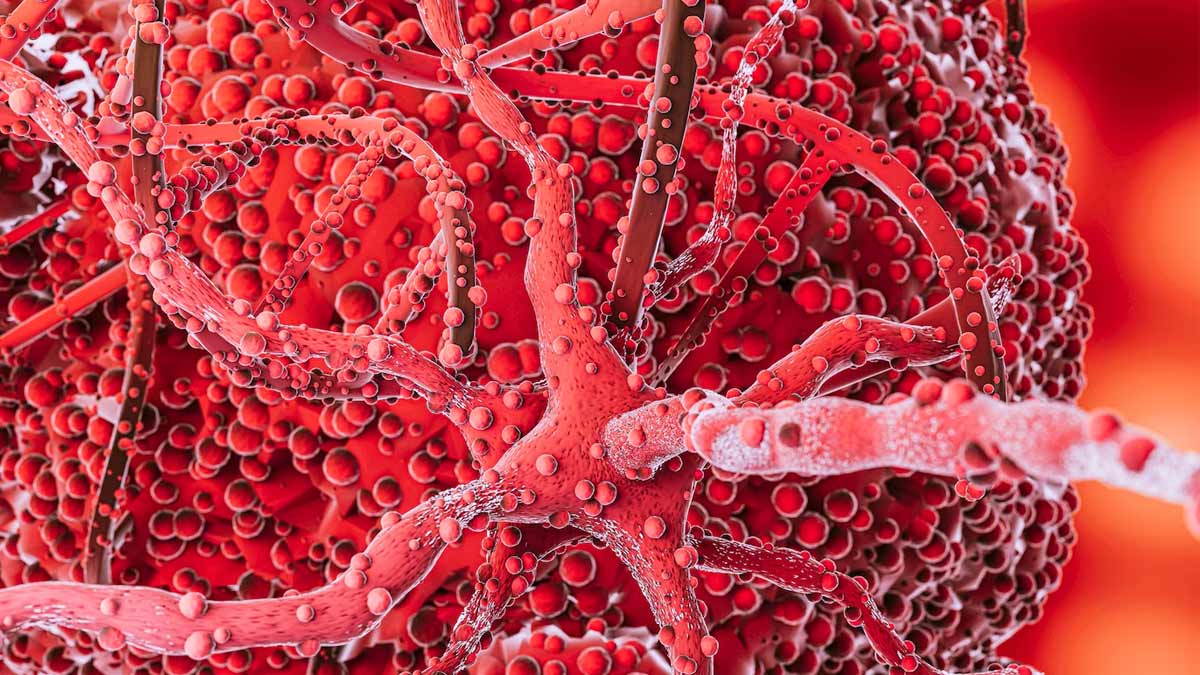 height-and-cancer-risk