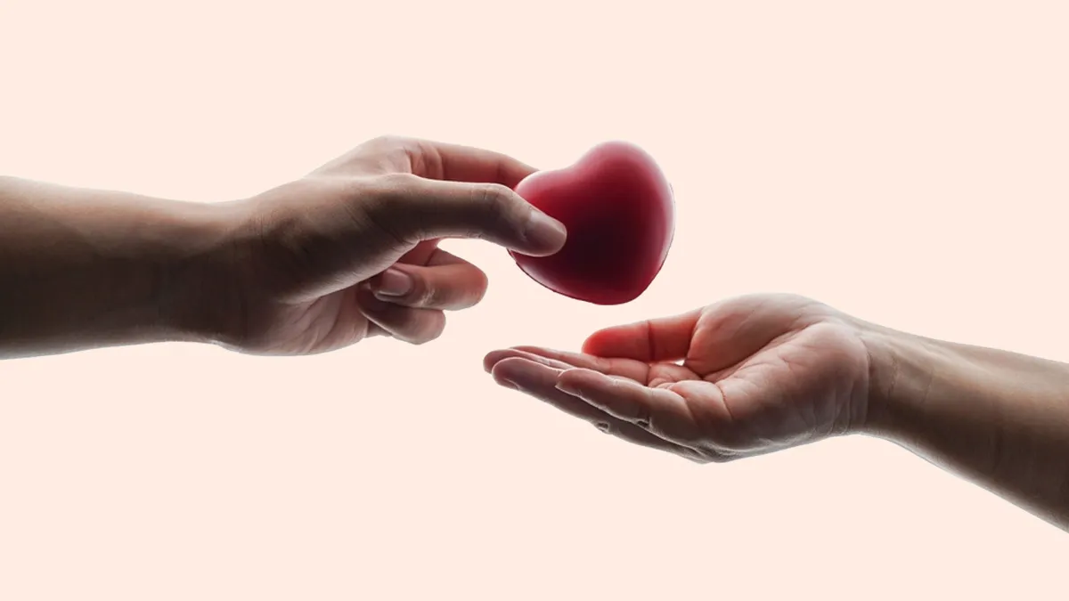 Organ Donation: What Organs Can You Donate While Alive?