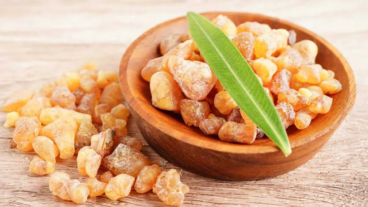 What Is Boswellia? Understanding Health Benefits Of The Herb