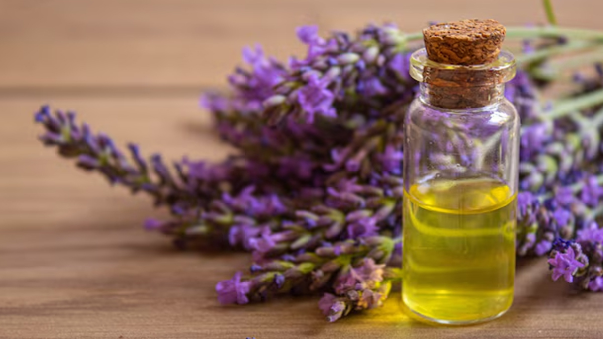 lavender-essential-oil