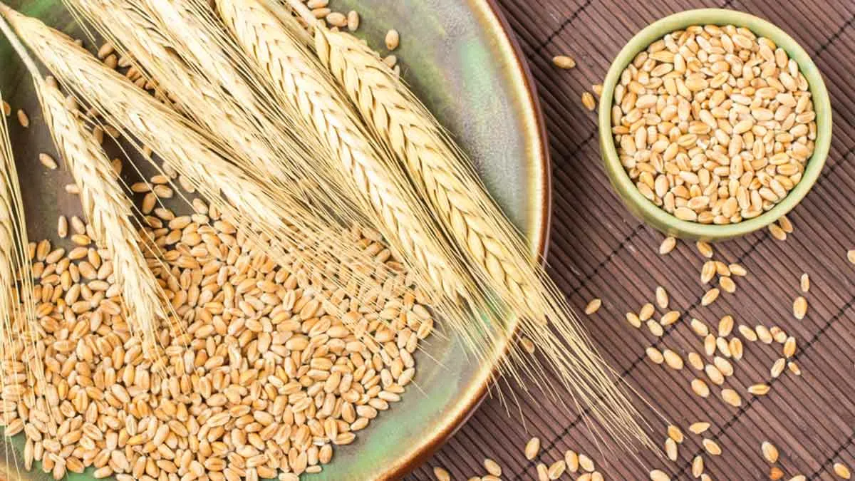 What Is Durum Wheat? Understanding Health Benefits