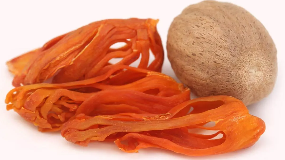 Javitri: 6 Health Benefits Of Consuming Mace Spice And How To Incorporate It