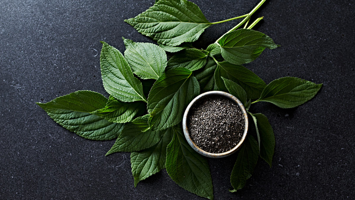 chia-leaves