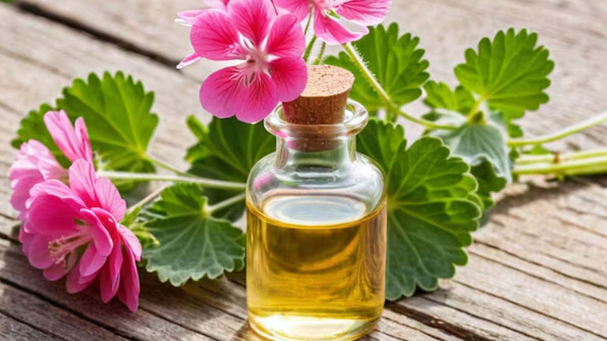 #ExpertTalk: How To Use Geranium Oil For Faster Hair Growth And Its ...