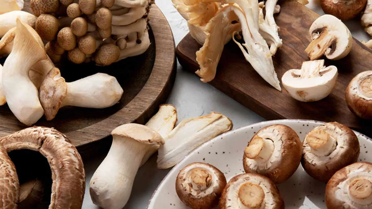From Heart Health to Cancer Prevention: The Power of Eating 5 Mushrooms Daily, According To A Study