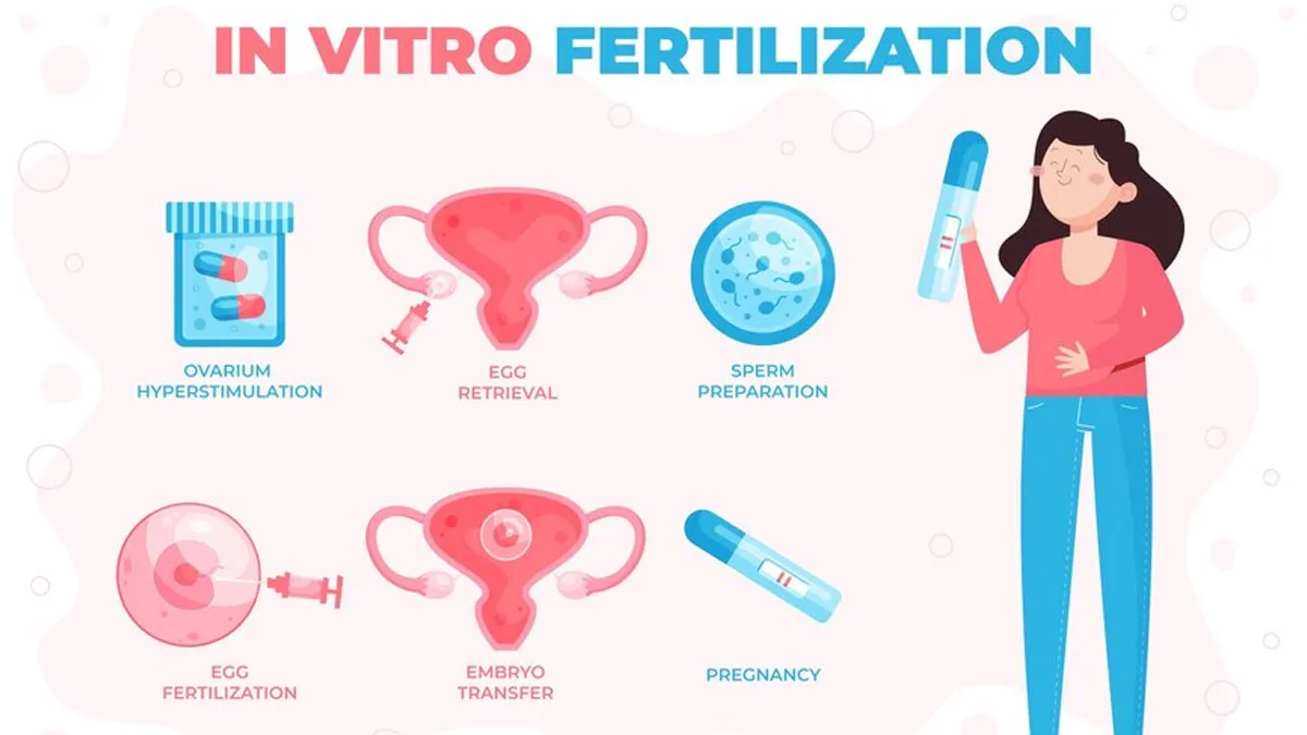 In Vitro Fertilization: Lifestyle Changes To Improve IVF Success Rates