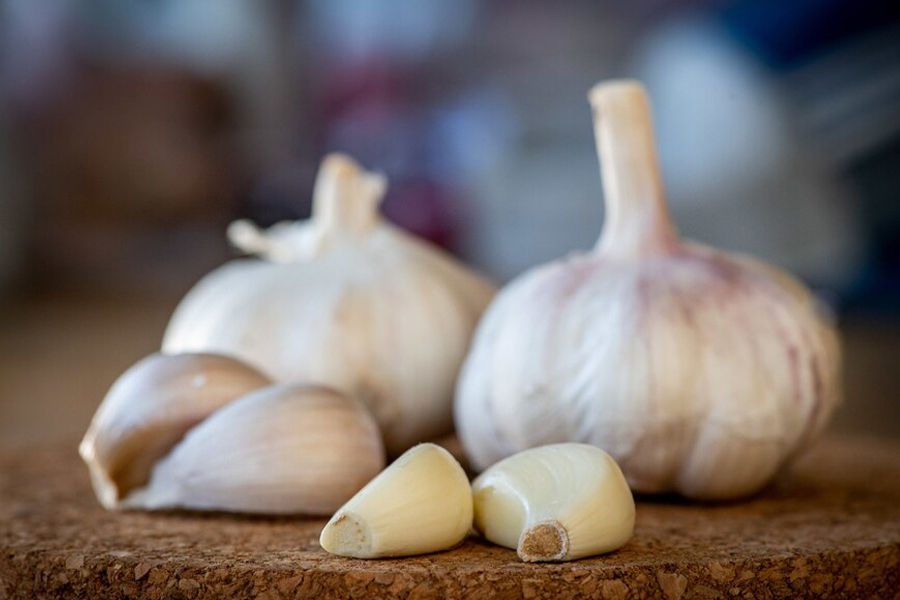 garlic