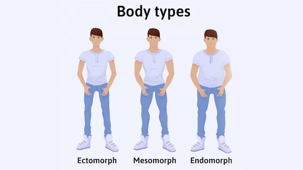 ectomorph-body-type