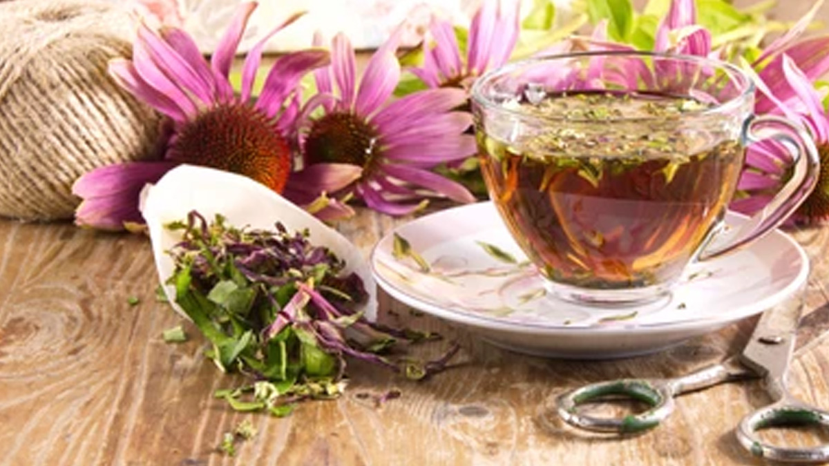 Echinacea-tea