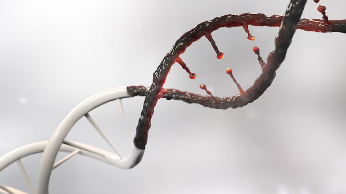 2-breast-cancer-alcohol