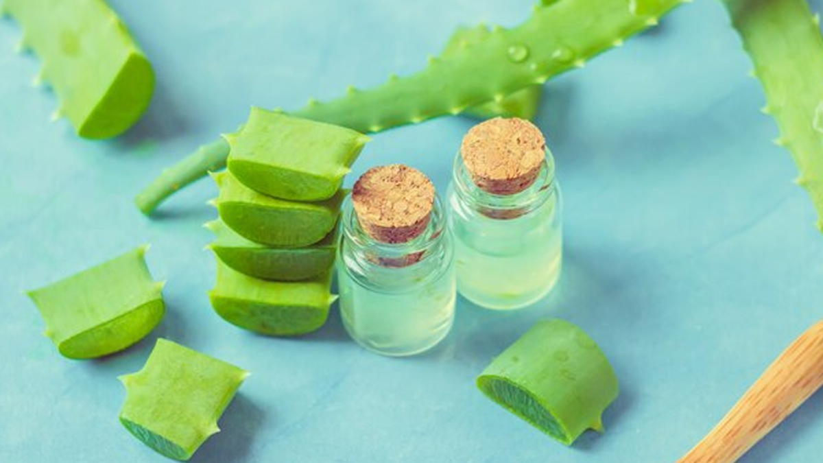 aloe-vera