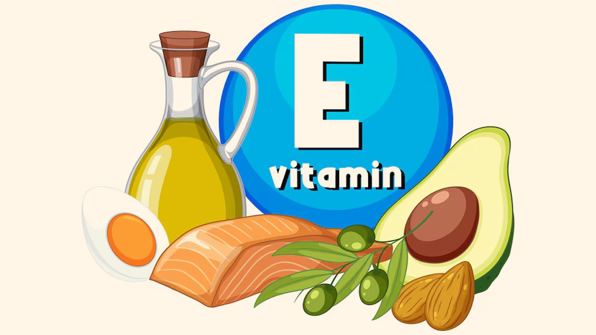 7 foods that have the largest vitamin E content, know why it is important to health
