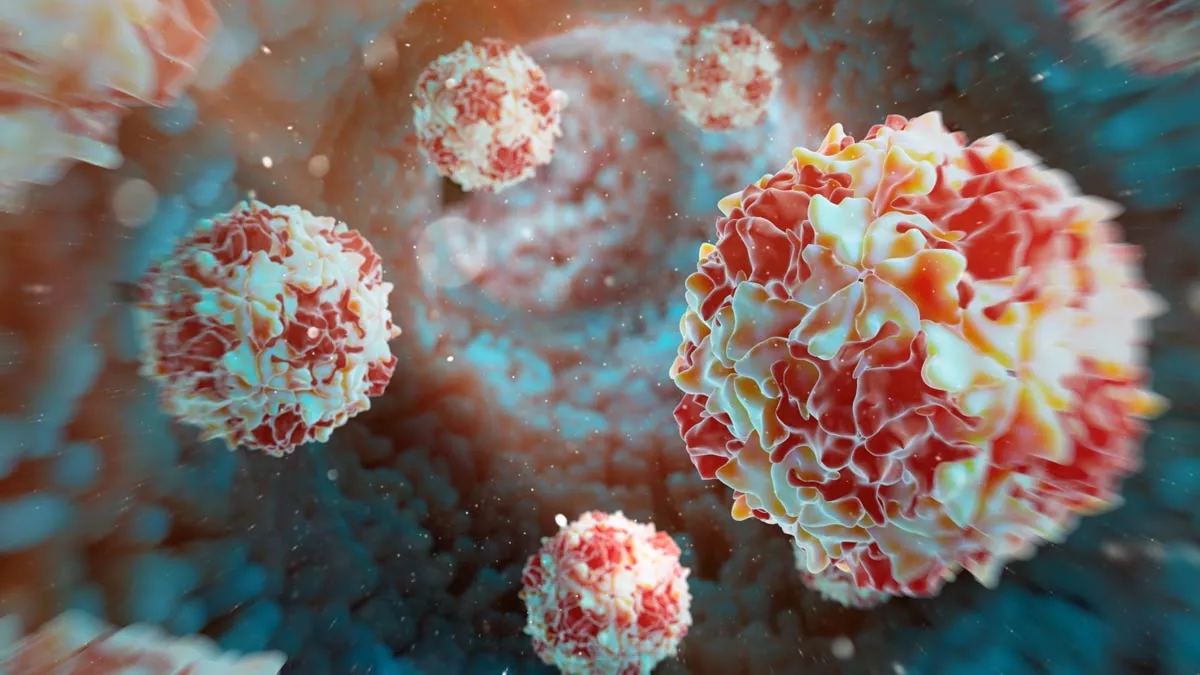 Poliovirus Detected in Wastewater Across Spain, Germany, and Poland: Key Facts You Need to Know