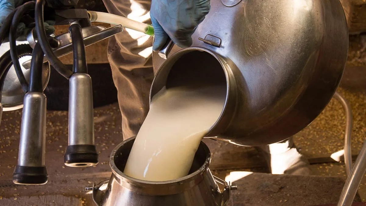 Raw Milk Risk: Study Finds Flu Virus Can Linger for Days, Sparking Health Concerns