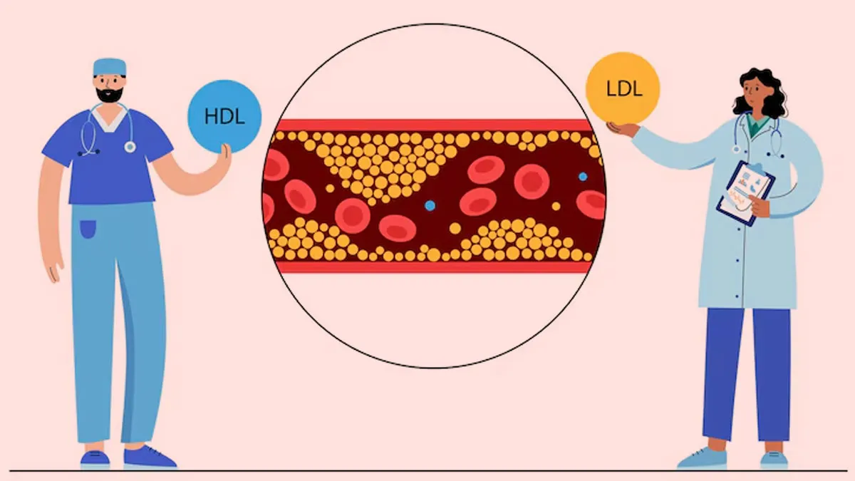 Cholesterol And Hormones: Why Women Need To Pay Attention