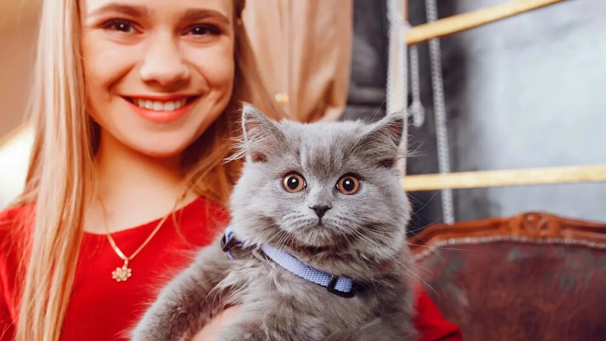 Your Pet Feline May Carry Bird Flu, Here's What You Need To Know