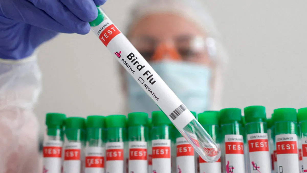 US Reports Its First Severe Case Of Bird Flu In A Patient In Lousiana