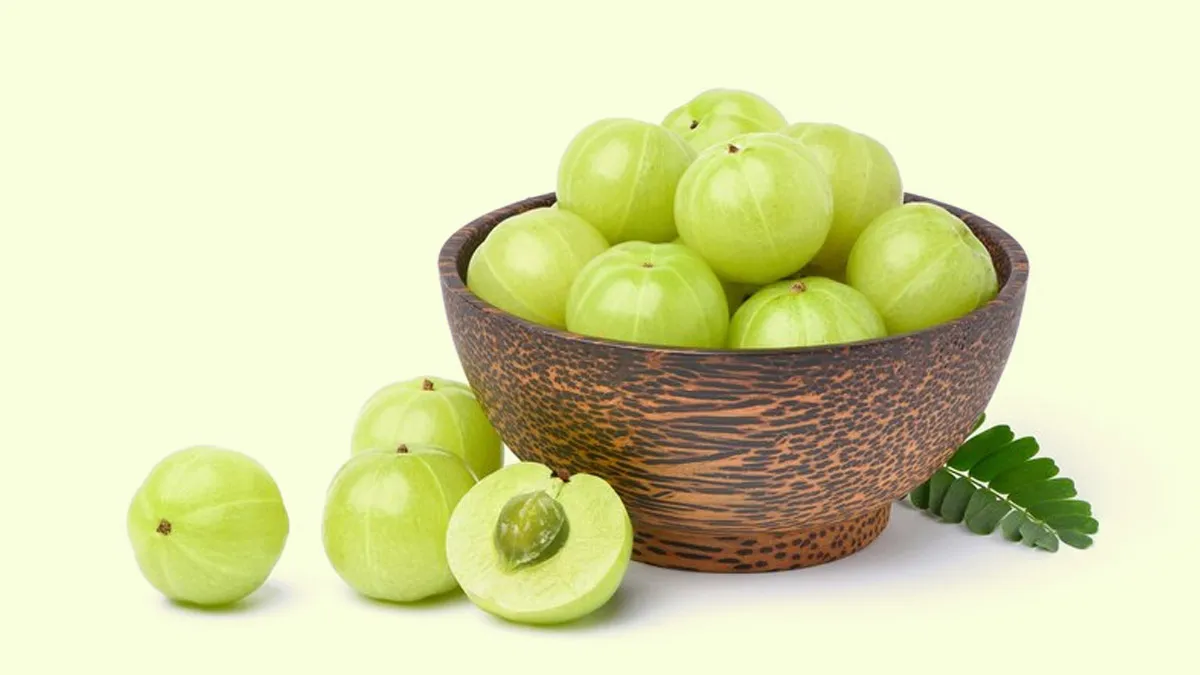 Amla For Hair: Understanding Benefits And How To Use It