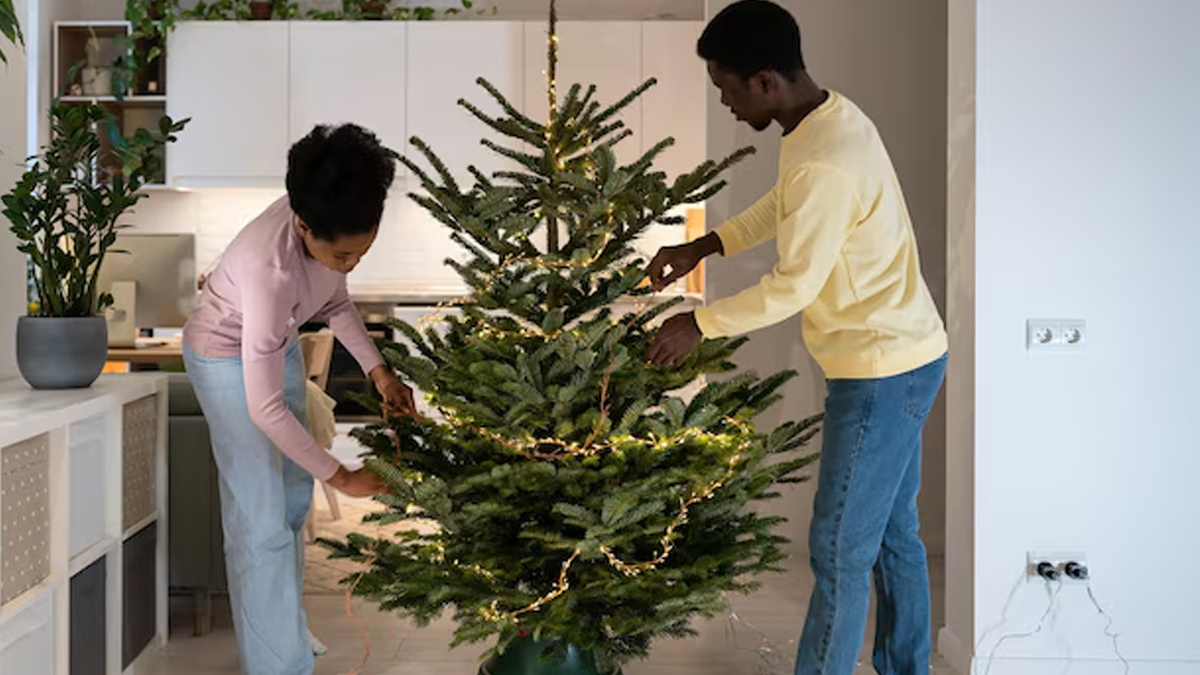 cleaning-christmas-tree