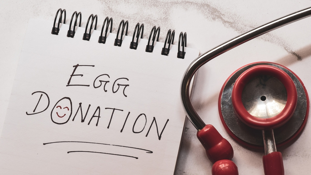 egg-donation