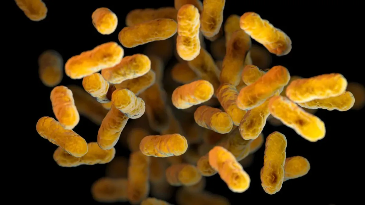 Whooping Cough Cases Hit Decade-High in the US: Prevention Tips You Need to Know