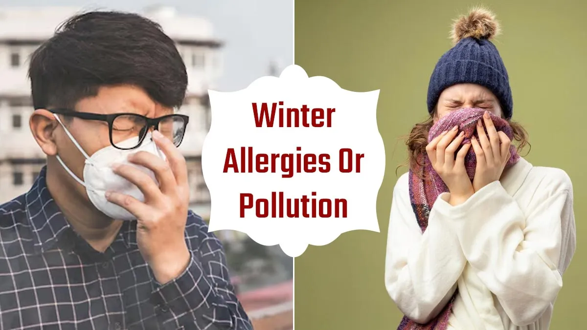 Winter Allergies Or Pollution: Expert Explains How To Differentiate Between The Two