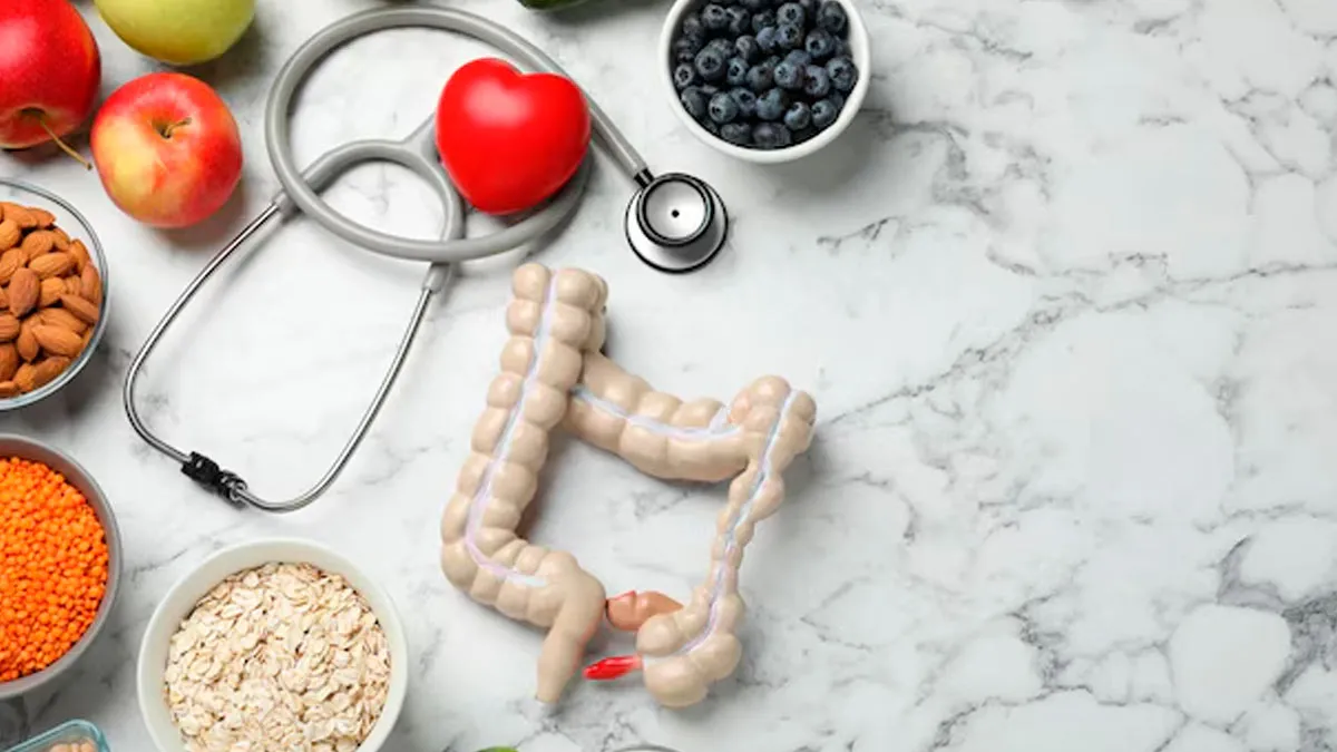 Dietary Factors That Can Influence The Risk Of Bowel Cancer