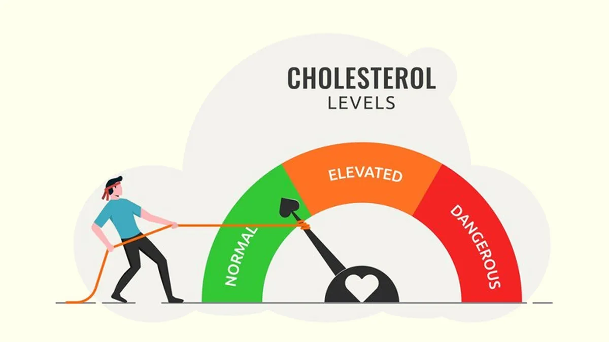 Age-Wise Cholesterol Guide: How Much Should Your Cholesterol Be At Each Age? Doctor Explains