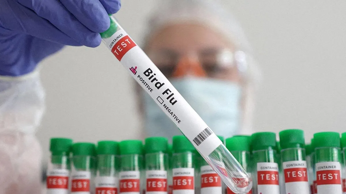 Bird Flu Samples Show Mutations That May Make It Easier To Spread To People, CDC Reports