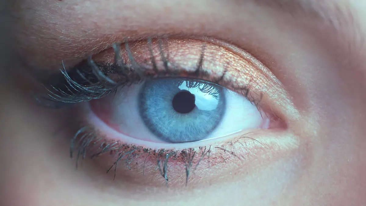 In The Blink Of An Eye: Expert Explains What Happens In Such A Short Span