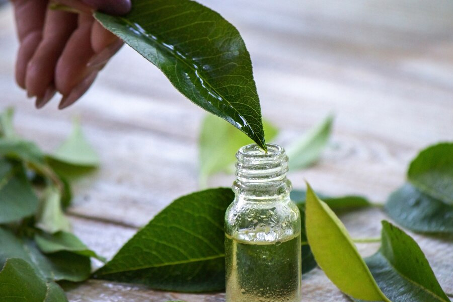 tea-tree-oil