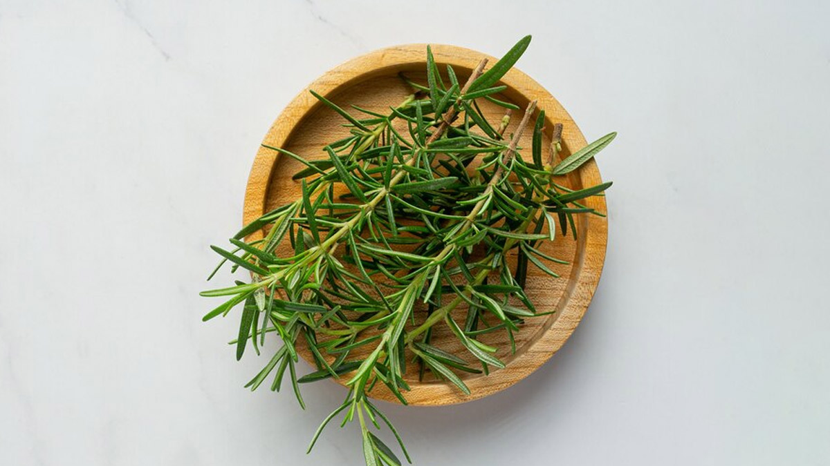 fenugreek-and-rosemary-for-hair