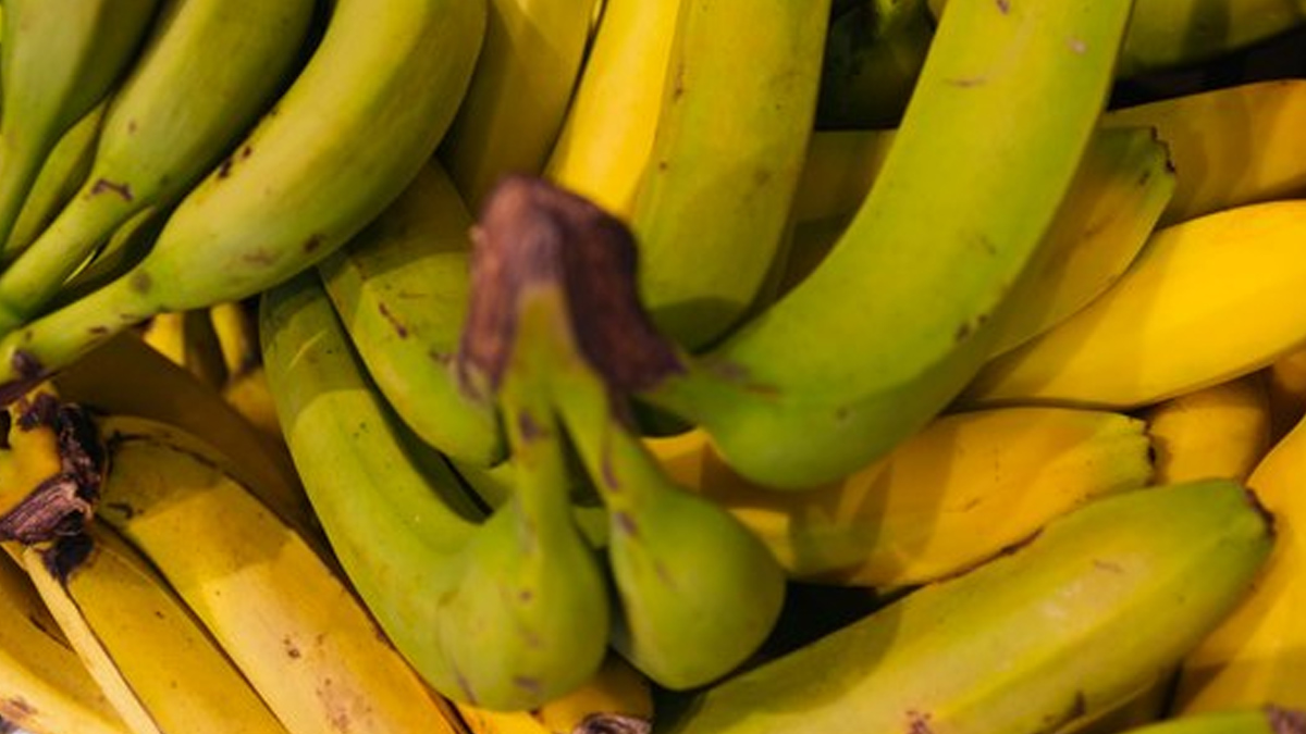 bananas