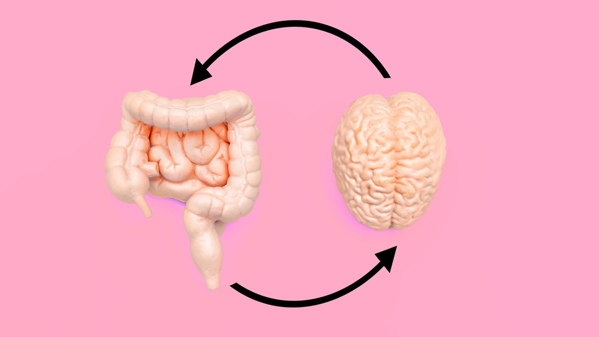 Gut-Brain-Connection